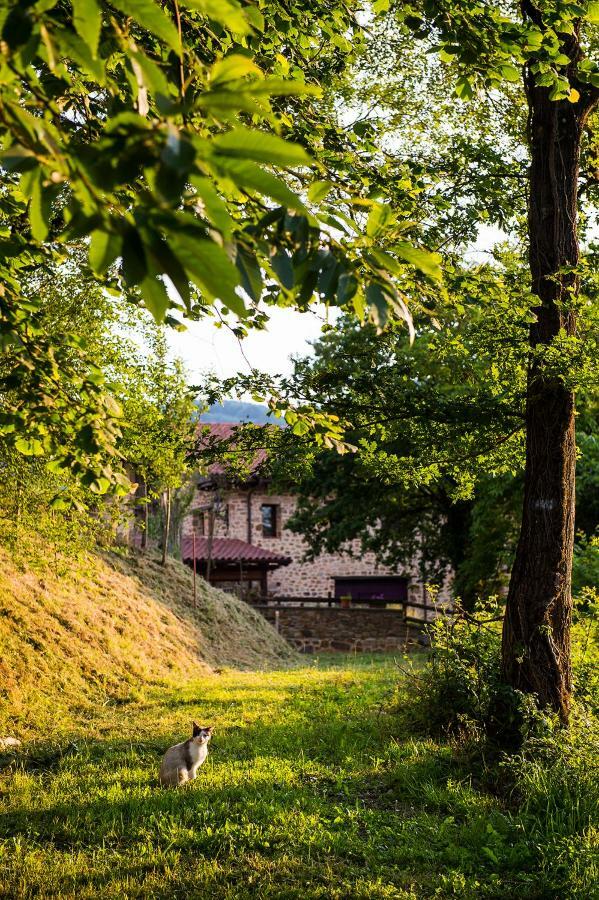 Gorosarri Lägenhet Escoriaza Exteriör bild